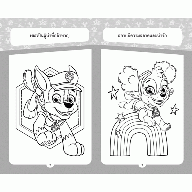 PAW PATROL COLOURING SET ชุดระบายสี EXCITED! + สีไม้และสติ๊กเกอร์โฮโลแกรม